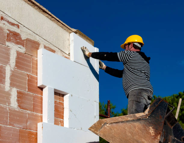 Best Cellulose Insulation in Placentia, CA