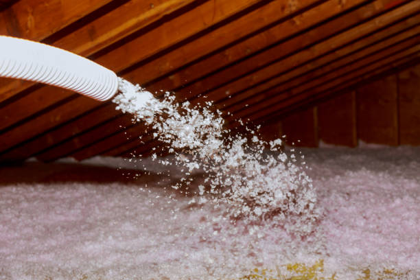 Best Commercial Insulation in Placentia, CA