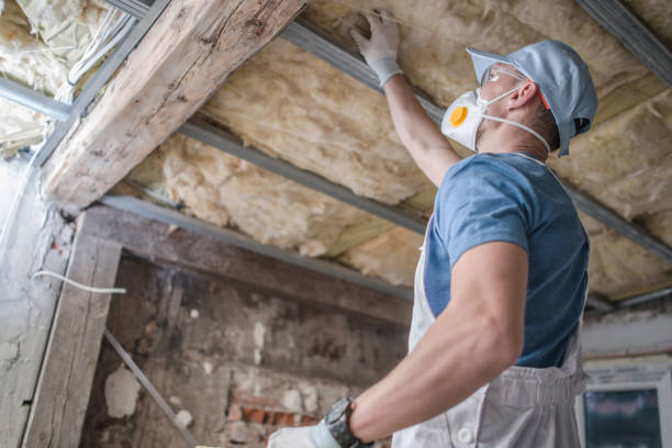 Best Insulation for Specific Applications in Placentia, CA