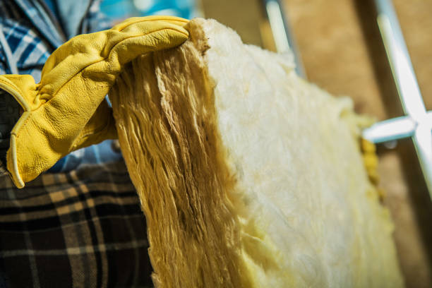 Best Specialized Insulation Services in Placentia, CA
