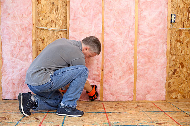 Best Residential Insulation in Placentia, CA