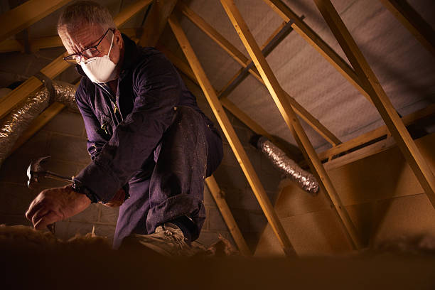 Best Blown-in Insulation in Placentia, CA