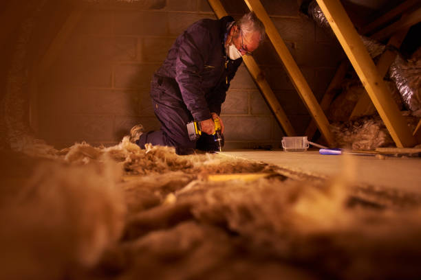 Types of Insulation We Offer in Placentia, CA